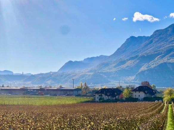 IL SOGNO VERDE  L’investimento perfetto  Settequerce/Terlano . BZ
