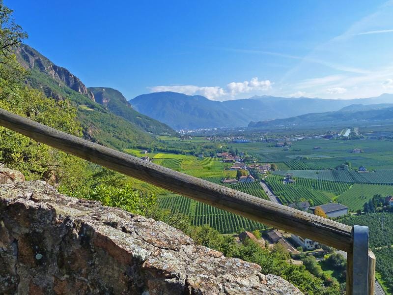 IL SOGNO VERDE  L’investimento perfetto  Settequerce/Terlano . BZ