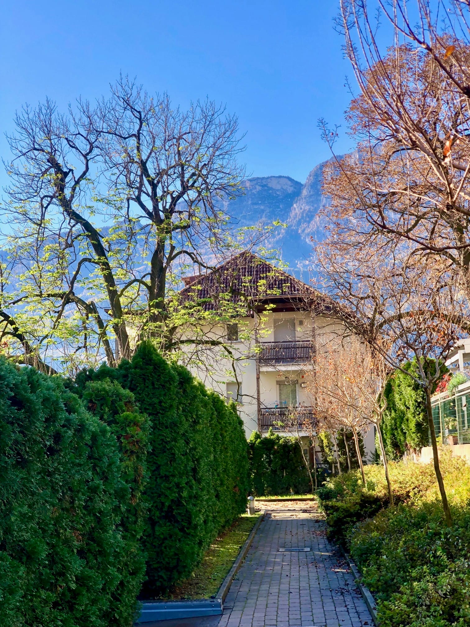 IL SOGNO VERDE  L’investimento perfetto  Settequerce/Terlano . BZ