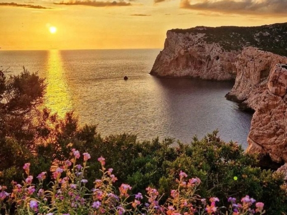 Ville da Sogno a Porto Pozzo (Palau), Sardegna