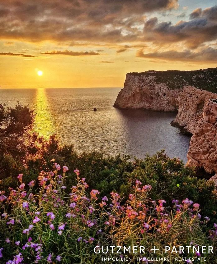 Ville da Sogno a Porto Pozzo (Palau), Sardegna